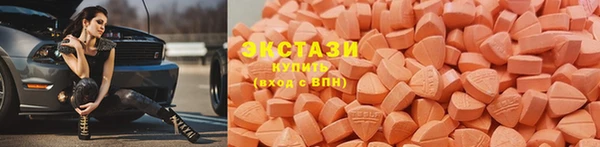 индика Волоколамск