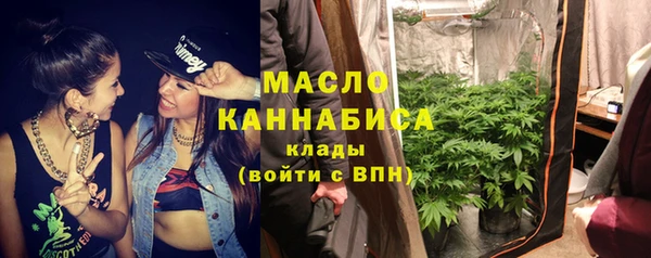 индика Волоколамск