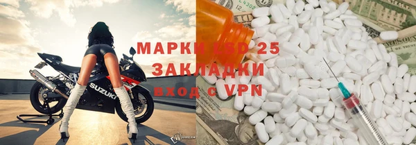 индика Волоколамск