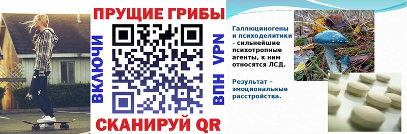 Галлюциногенные грибы ЛСД Снежинск