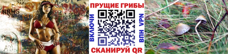 Псилоцибиновые грибы Cubensis  купить наркотик  Снежинск 
