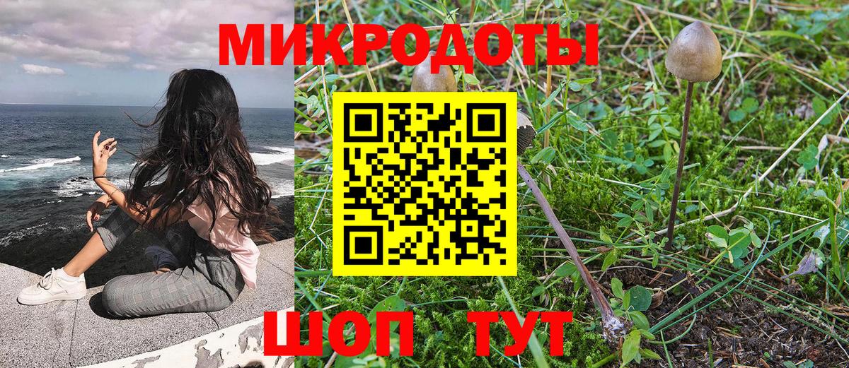 Псилоцибиновые грибы GOLDEN TEACHER Снежинск